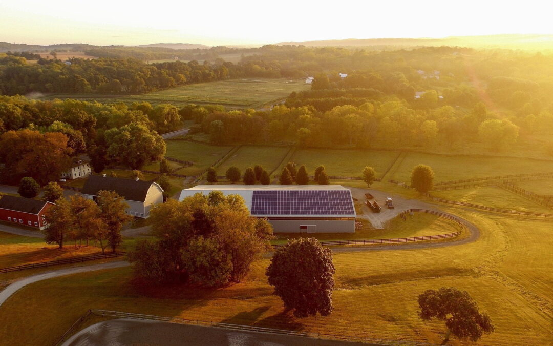 Transition écologique : La rétrospective de 2021